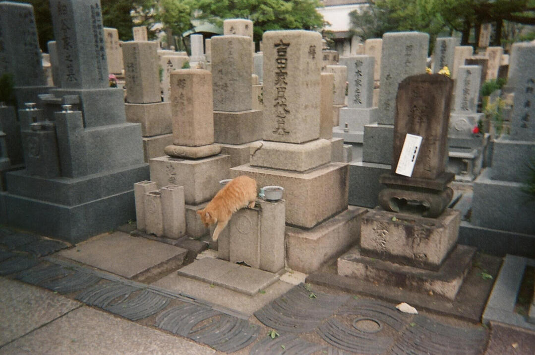 Japan, 2022