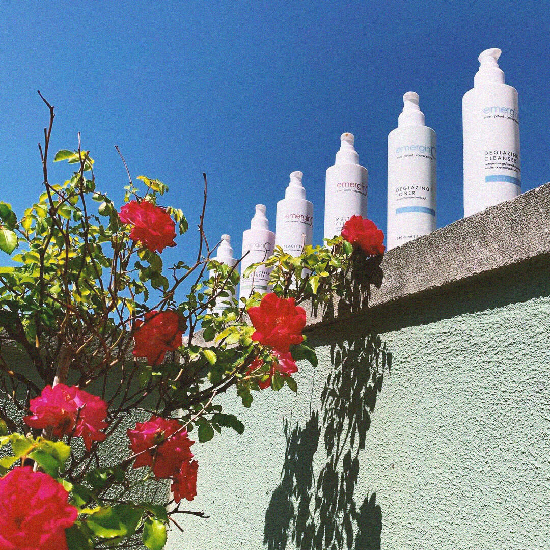 Organic Social, Photography